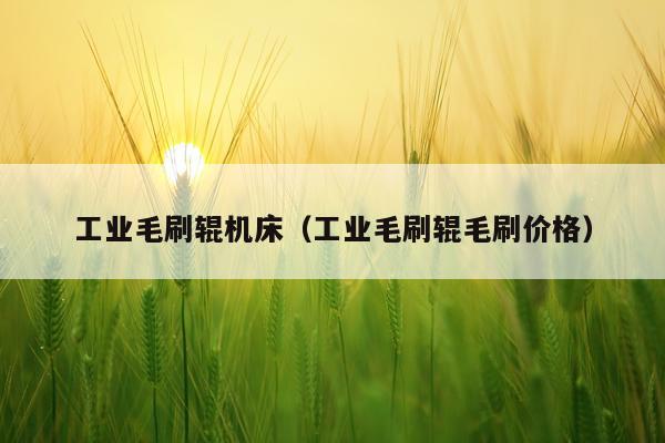 工业毛刷辊机床（工业毛刷辊毛刷价格）