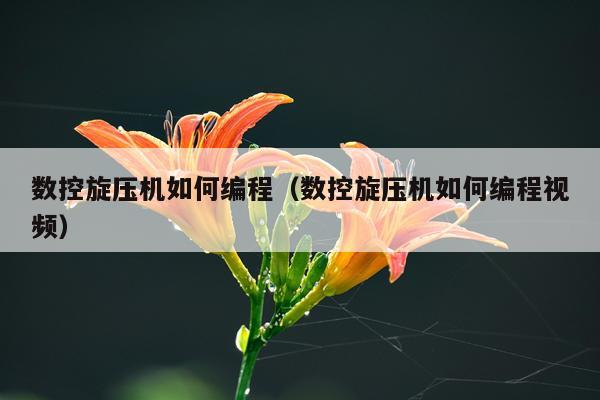 数控旋压机如何编程（数控旋压机如何编程视频）