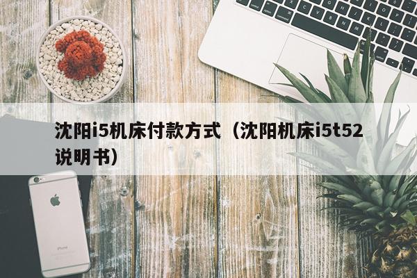 沈阳i5机床付款方式（沈阳机床i5t52说明书）