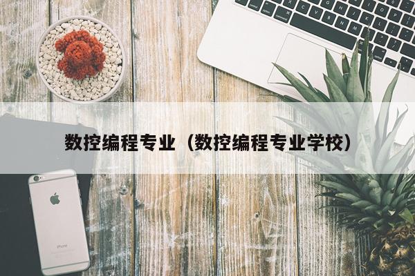 数控编程专业（数控编程专业学校）