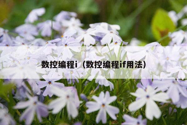 数控编程i（数控编程if用法）
