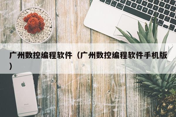 广州数控编程软件（广州数控编程软件手机版）