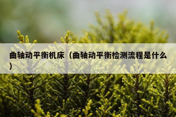 曲轴动平衡机床(曲轴动平衡检测流程是什么)