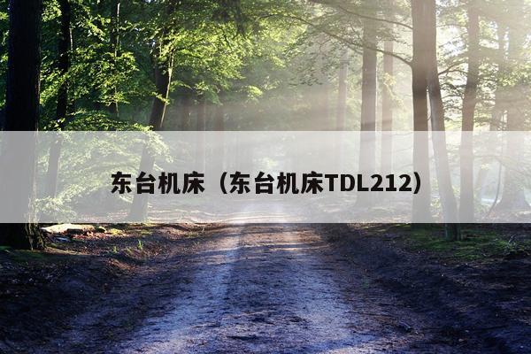 东台机床（东台机床TDL212）