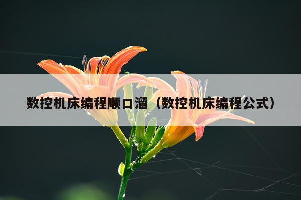 数控机床编程顺口溜（数控机床编程公式）
