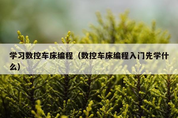 学习数控车床编程（数控车床编程入门先学什么）