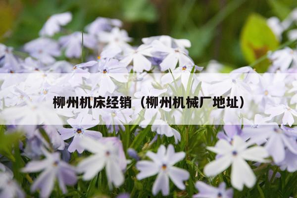 柳州机床经销（柳州机械厂地址）