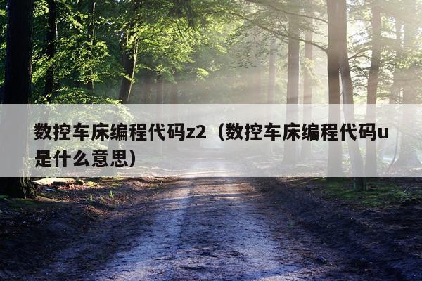 数控车床编程代码z2（数控车床编程代码u是什么意思）
