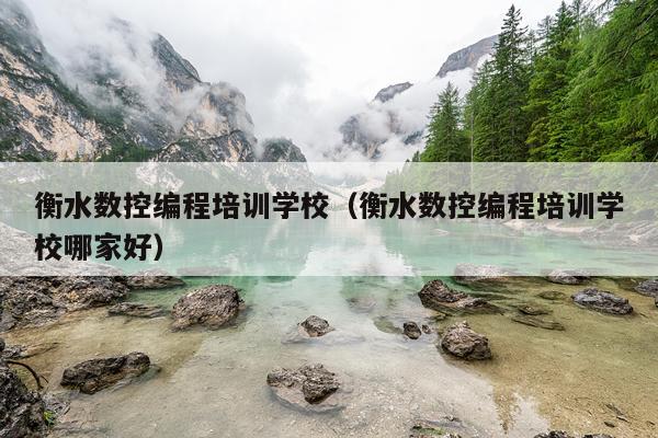 衡水数控编程培训学校（衡水数控编程培训学校哪家好）