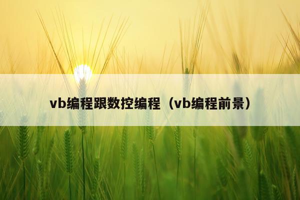 vb编程跟数控编程(vb编程前景)