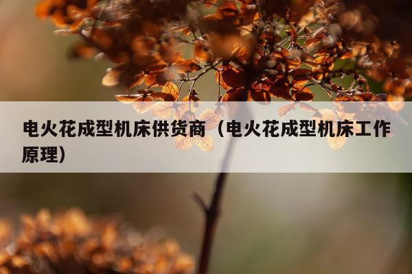 电火花成型机床供货商（电火花成型机床工作原理）