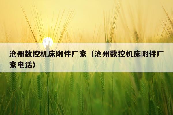 沧州数控机床附件厂家（沧州数控机床附件厂家电话）