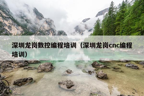 深圳龙岗数控编程培训（深圳龙岗cnc编程培训）