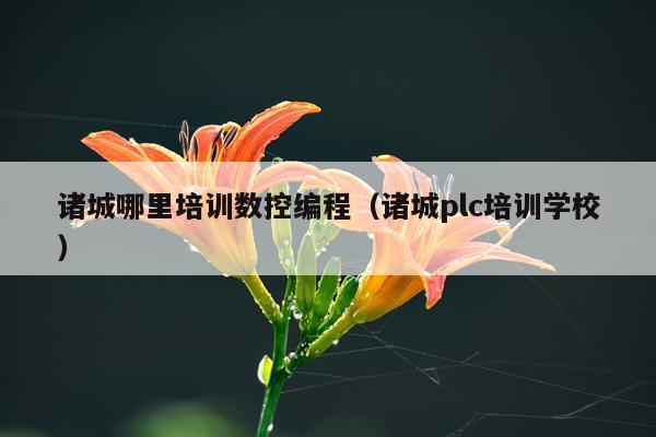 诸城哪里培训数控编程（诸城plc培训学校）