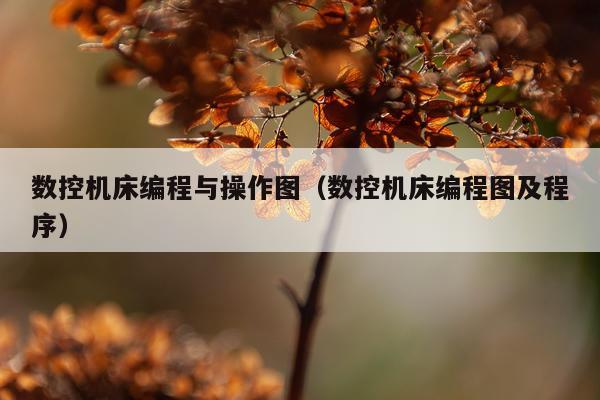 数控机床编程与操作图（数控机床编程图及程序）