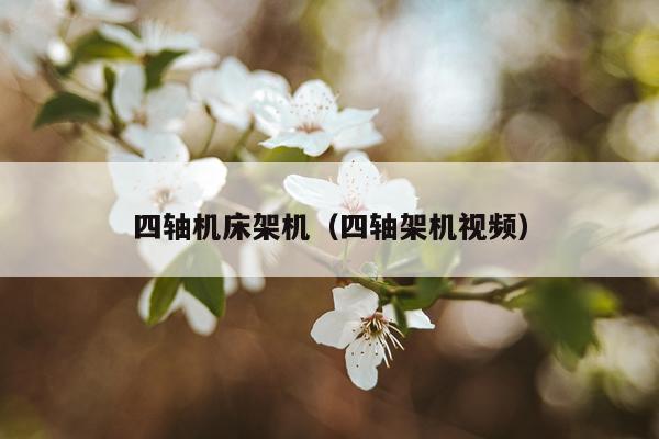 四轴机床架机（四轴架机视频）