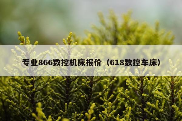 专业866数控机床报价（618数控车床）