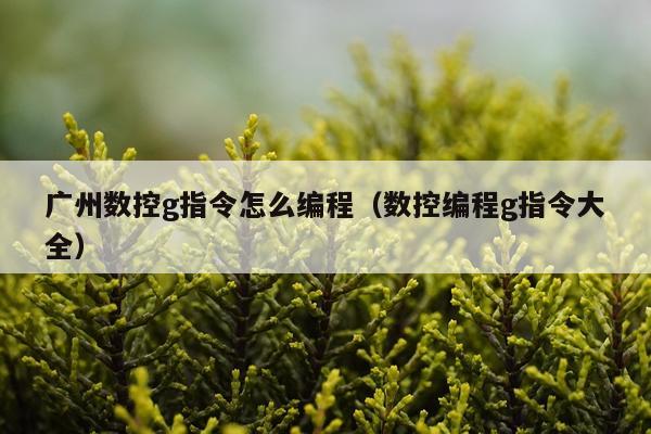 广州数控g指令怎么编程（数控编程g指令大全）