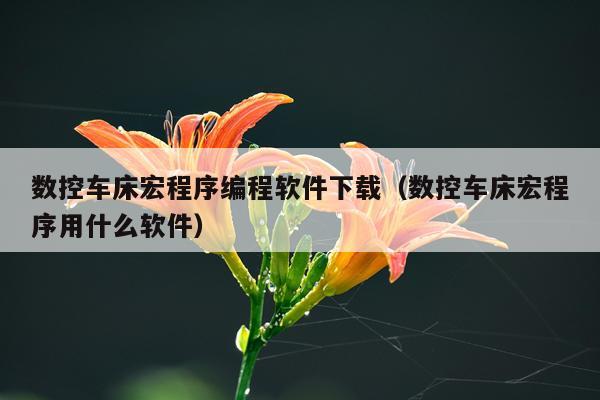 数控车床宏程序编程软件下载（数控车床宏程序用什么软件）