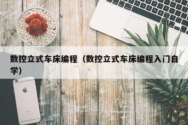 数控立式车床编程（数控立式车床编程入门自学）