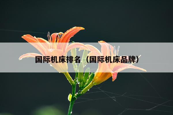 国际机床排名（国际机床品牌）