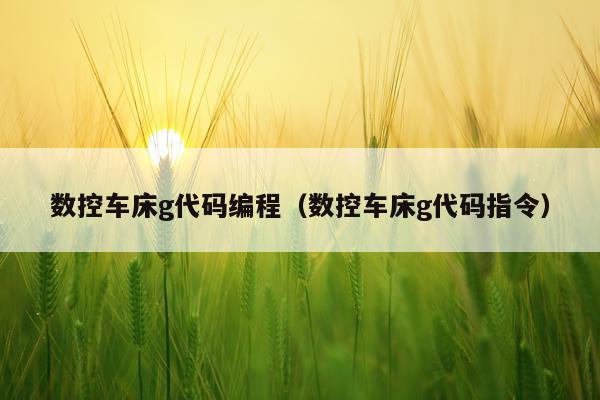 数控车床g代码编程（数控车床g代码指令）