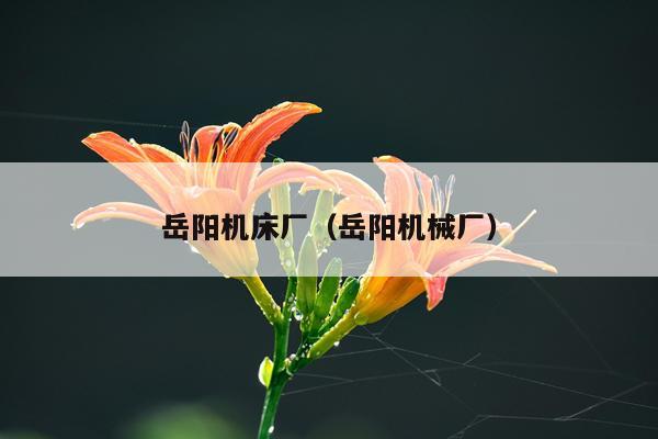 岳阳机床厂(岳阳机械厂)
