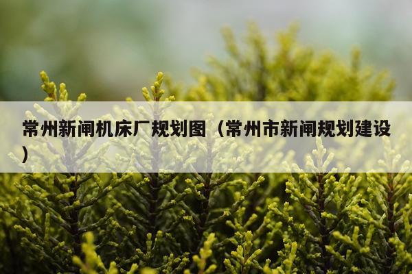 常州新闸机床厂规划图（常州市新闸规划建设）