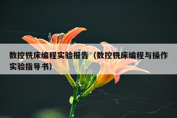 数控铣床编程实验报告（数控铣床编程与操作实验指导书）