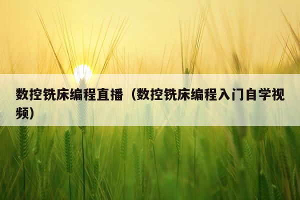数控铣床编程直播（数控铣床编程入门自学视频）