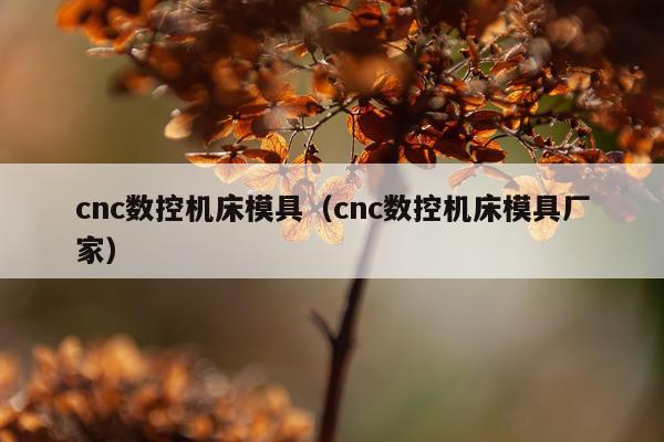 cnc数控机床模具（cnc数控机床模具厂家）