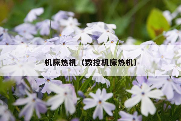 机床热机（数控机床热机）
