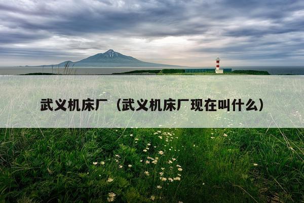 武义机床厂（武义机床厂现在叫什么）