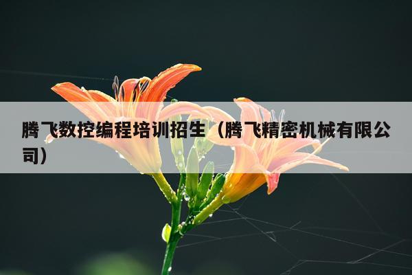 腾飞数控编程培训招生（腾飞精密机械有限公司）