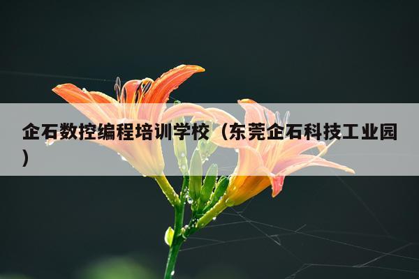 企石数控编程培训学校（东莞企石科技工业园）