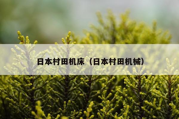 日本村田机床（日本村田机械）