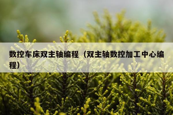 数控车床双主轴编程（双主轴数控加工中心编程）