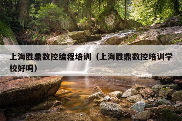 上海胜鼎数控编程培训(上海胜鼎数控培训学校好吗)