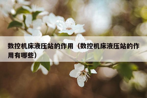 数控机床液压站的作用（数控机床液压站的作用有哪些）