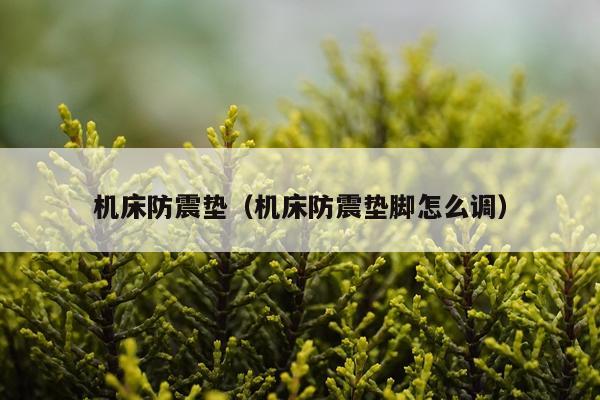 机床防震垫(机床防震垫脚怎么调)