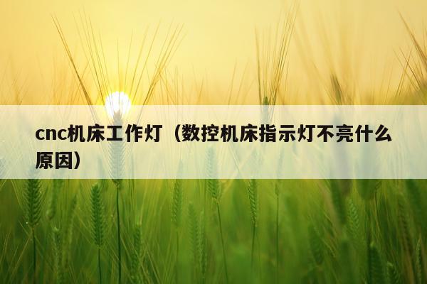 cnc机床工作灯（数控机床指示灯不亮什么原因）