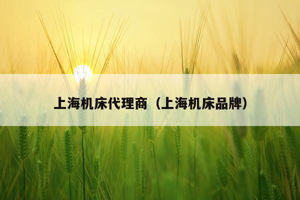 上海机床代理商(上海机床品牌)