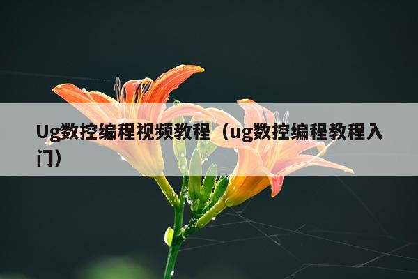 Ug数控编程视频教程（ug数控编程教程入门）