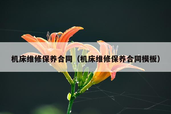 机床维修保养合同（机床维修保养合同模板）