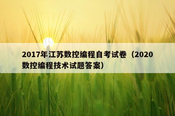 2017年江苏数控编程自考试卷（2020数控编程技术试题答案）